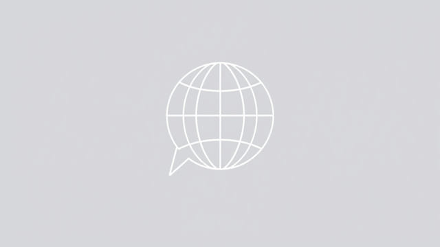 french to english google translate