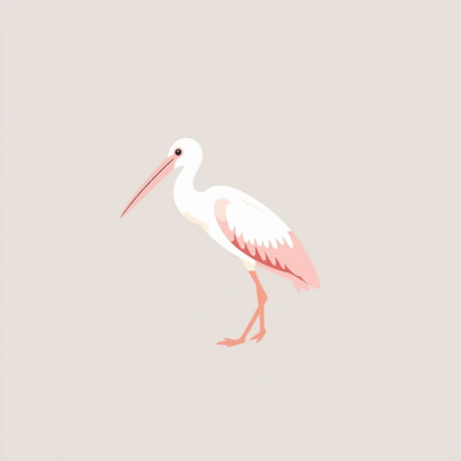 How to Pronounce Roseate Spoonbill