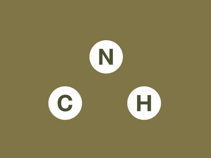 Outfitted Crossword Clue 6 Letters