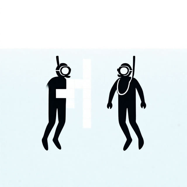 Pair for a Snorkeler NYT Crossword