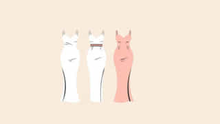 Flattering Dresses For Curvy Women