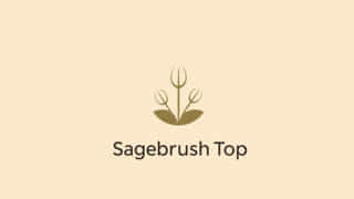 Friday Pattern Company Sagebrush Top
