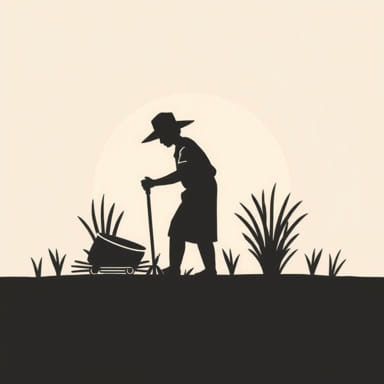 How Did The Practice Impact The Sharecropper