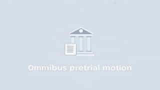 Omnibus Pretrial Motion Meaning