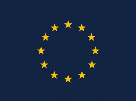 Principle Of Proportionality Eu