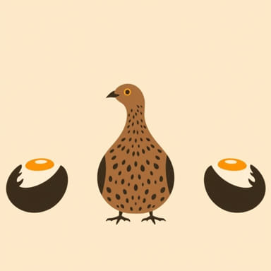 Quail Eggs How To Eat