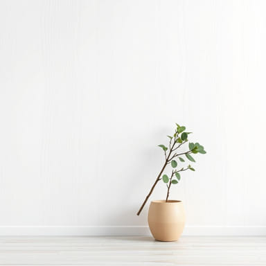 Quick Dry Satinwood Pure Brilliant White