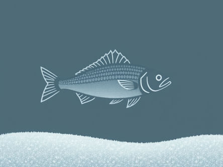 Rare Fish Hoarfrost Reach