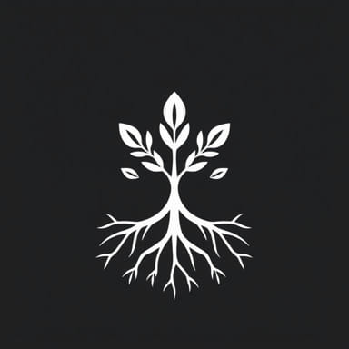 Root Word Of Sophisticated