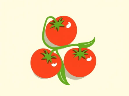 Rotel Mild Tomatoes With Green Chilies