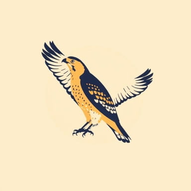 Sharp Shinned Hawk Uk