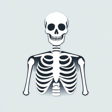 Skeleton Argument Litigant In Person