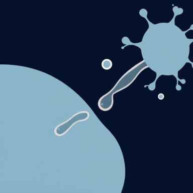 Steps Of Leukocyte Extravasation