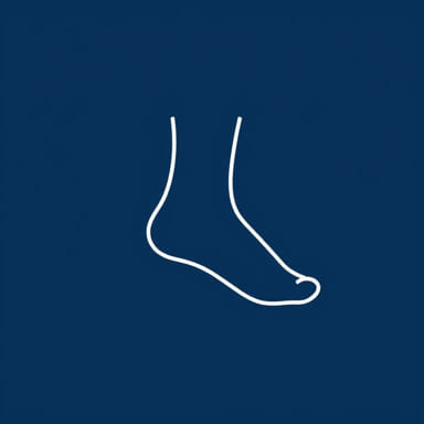 The Ankleshwar Poly Dyestuff Pvt Ltd