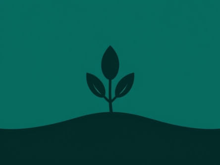 The Bad Batch Hemlock