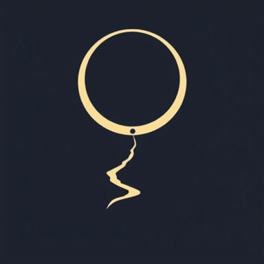 The Night Of Destiny Novel By Vanessa K