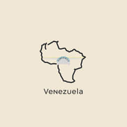 Venezuela When Did It Become Socialist