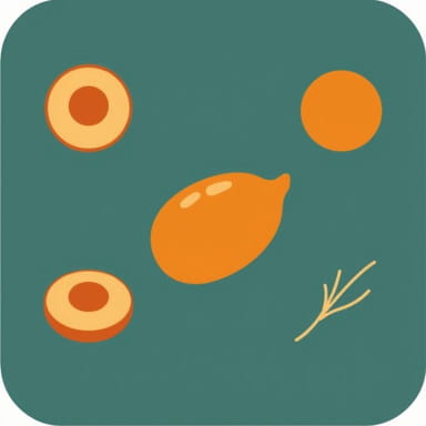 Beni Imo Sweet Potato