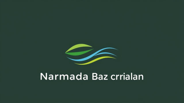 Conclusion Of Narmada Bachao Andolan