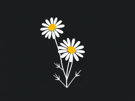 European Michaelmas Daisy Plant