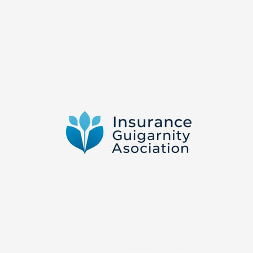 Insurance Guaranty Fund Association