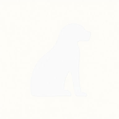 Internat Lyc E Maillol Perpignan