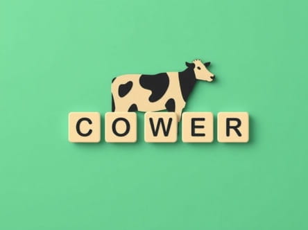 Is Cower A Valid Scrabble Word