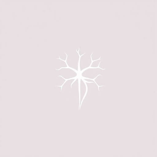 Largest Cranial Nerve In Human Body