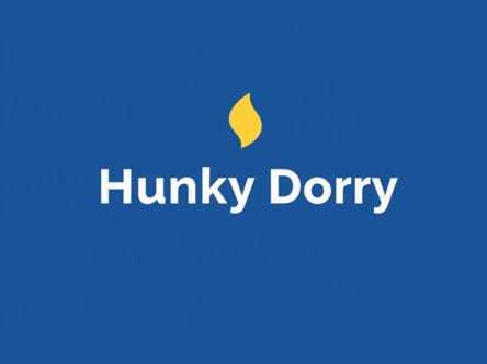 Lidl Version Of Hunky Dorys