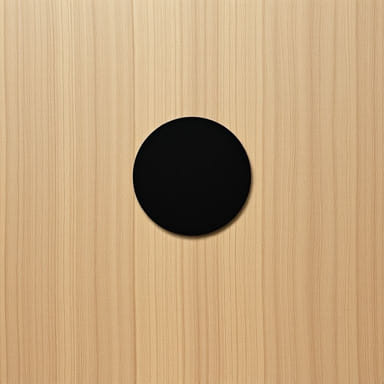 Matt Black Satinwood Paint