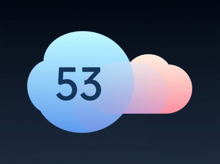 N Mina Deducible 53 Y 47