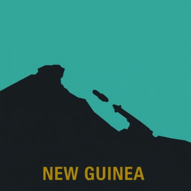 The New Guinea Offensives