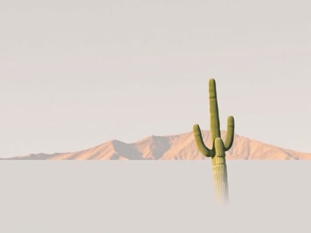 Where Is Chandler Arizona