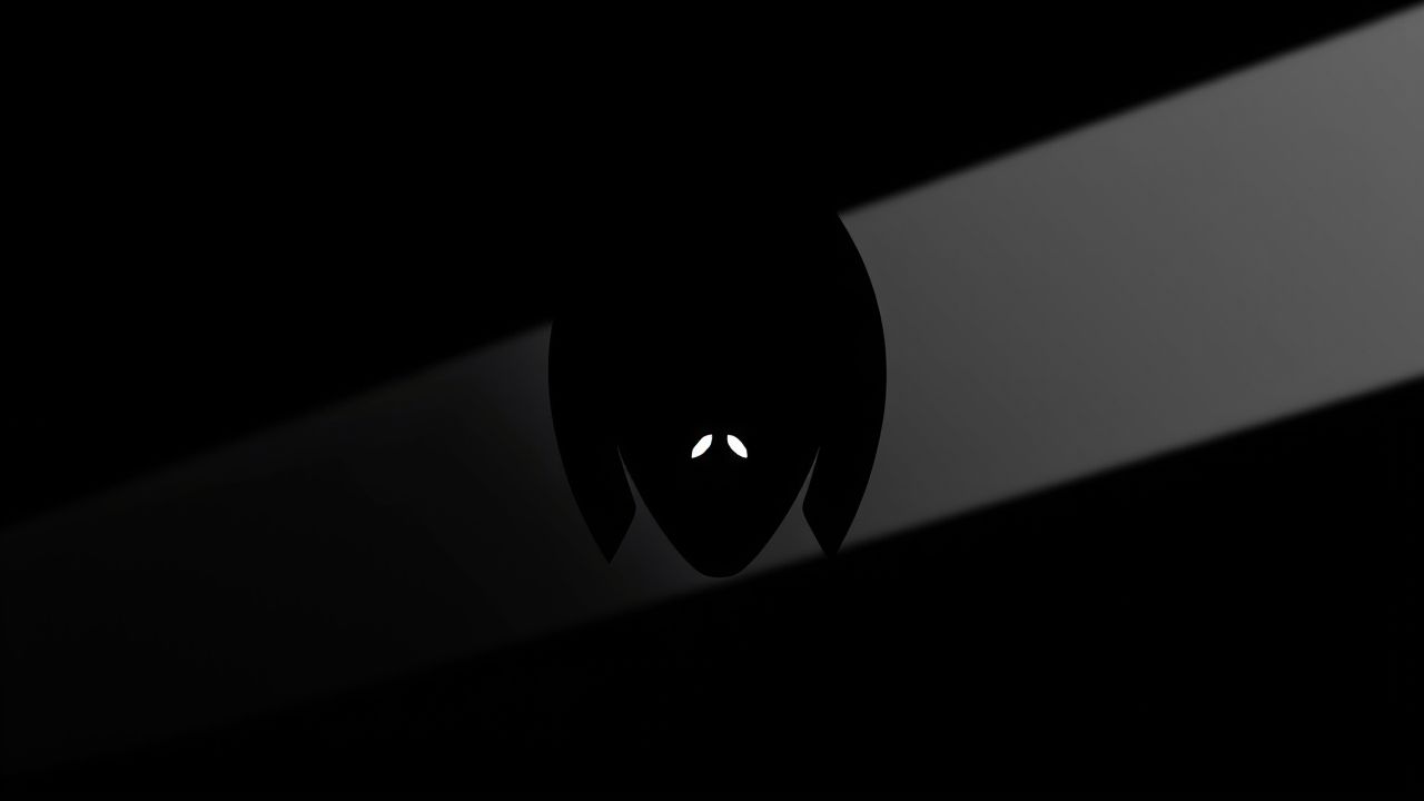 About The Zodiac Killer