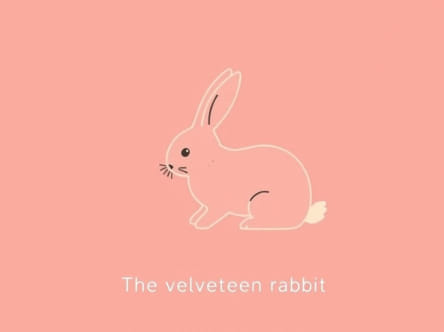 How Long Is The Velveteen Rabbit