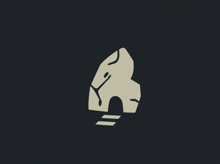 Journey Of A Gallstone