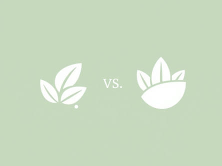 Kayo One Vs Kayo Basic