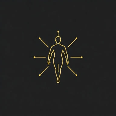 Knee Spanning Ex Fix Synthes