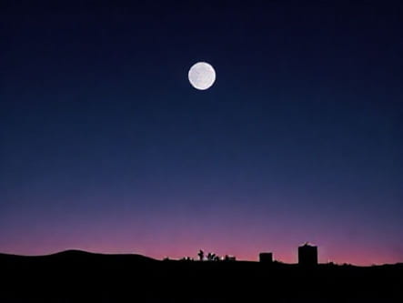 La La Land X Tolerate It