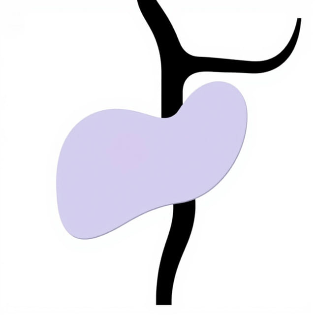 Left Hepatic Lobe Cyst
