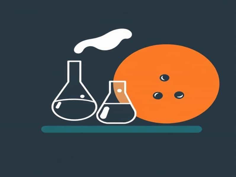 Basic Science Process Skills Inferring