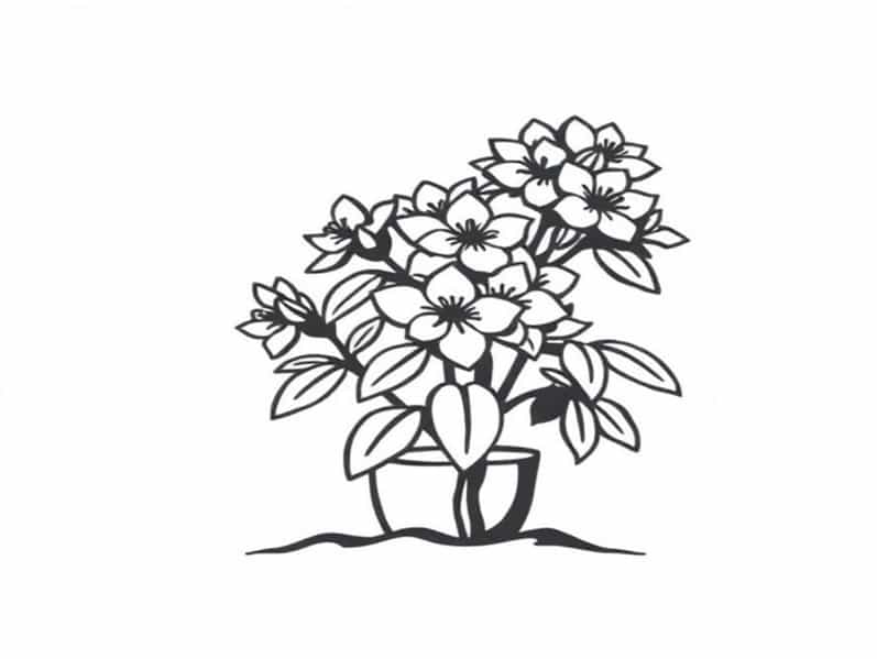 Best Time To Plant Rhododendron