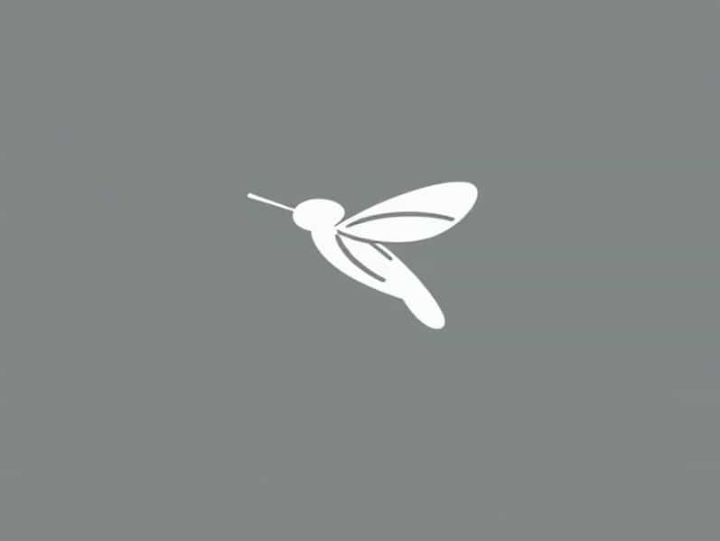 Chirrup Meaning In English Oxford