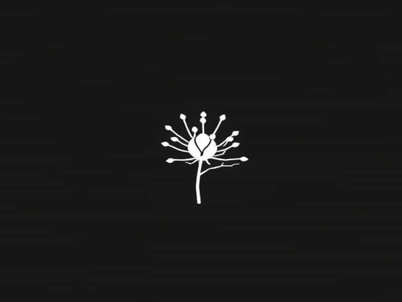 Colony Morphology Of Proteus Mirabilis