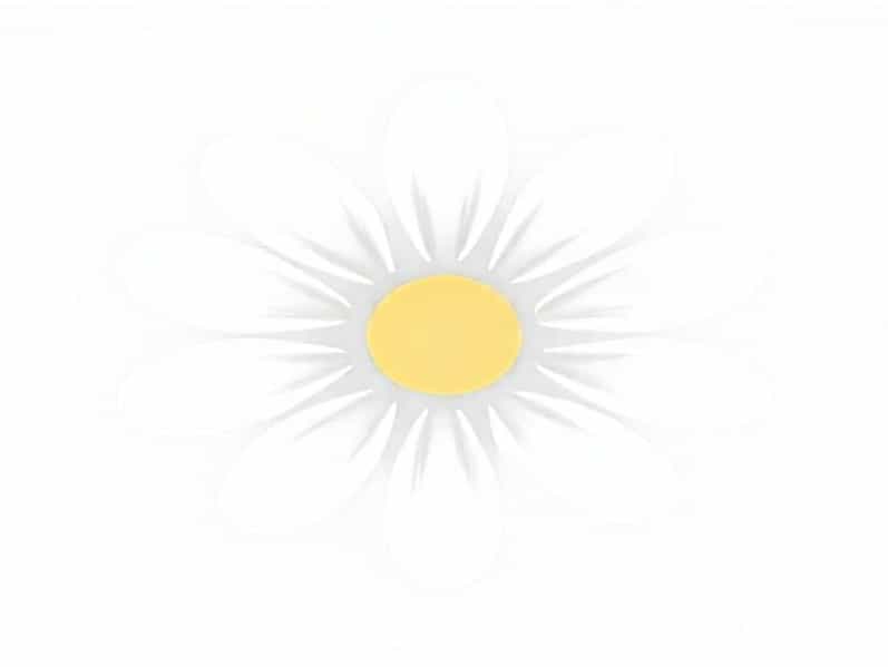 Daisy Considerate And Caring Petal