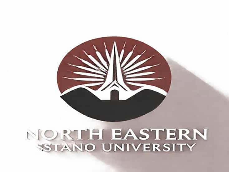 North Eastern Mindanao State University