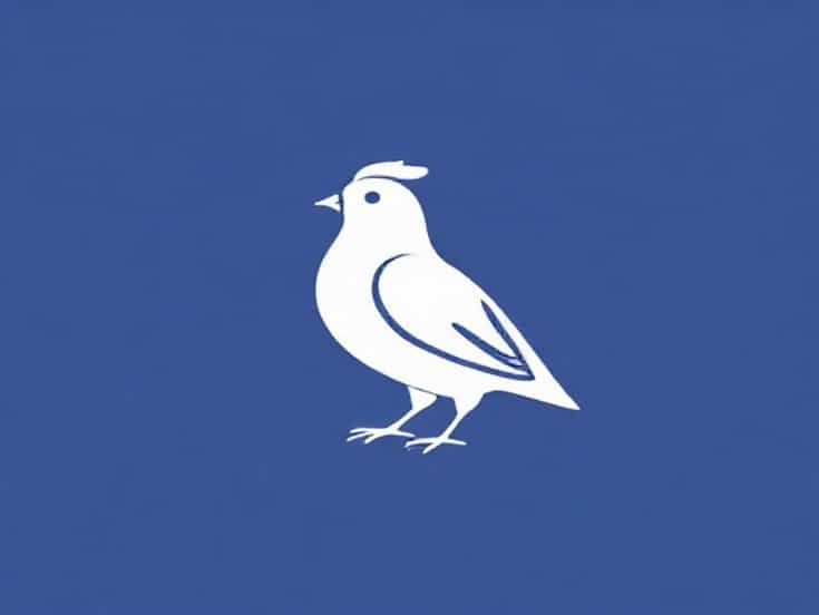 Nourriture Pour Poussin Fait Maison