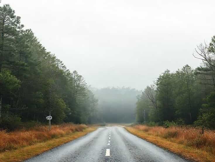 Old Ghost Road Brooklet Georgia