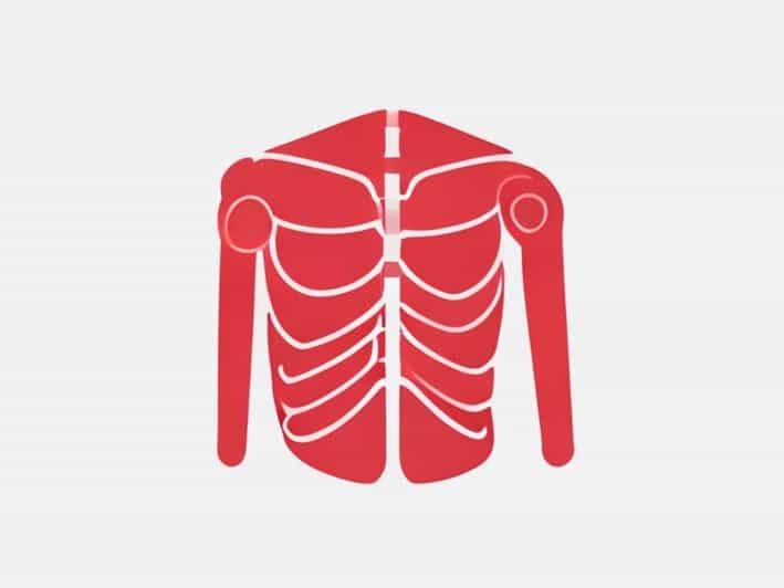 Reverse Vs Anatomic Shoulder Replacement
