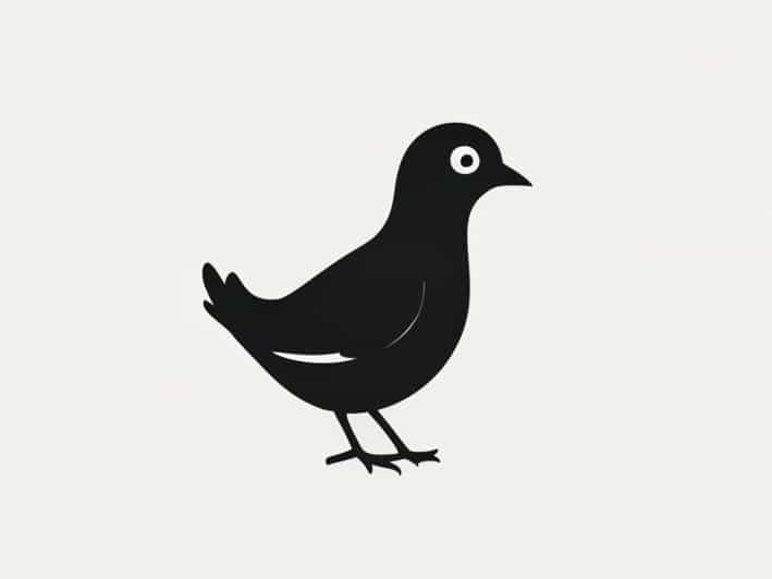 The Sound Of A Quail